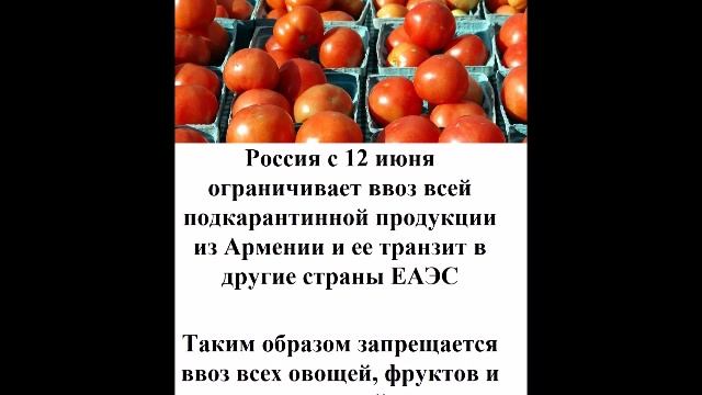 Россия с 12 июня ограничивает ввоз всей подкарантинной продукции из Армении и ее транзит в другие ст