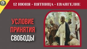 Как внутреннее обновление сердца позволяет принять настоящую евангельскую свободу