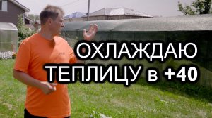 Если в теплице жара, то снизить температуру поможет затеняющая сетка