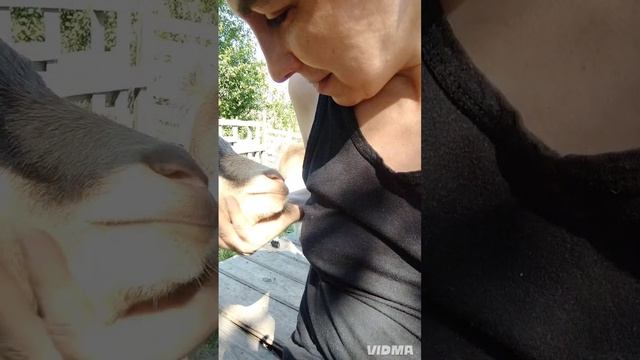 Ветер и дождь поломали деревья😱 Весь день убираю последствия смотреть онлайн