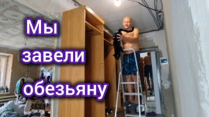 Куда ПОЕХАЛ Володя/ Мы завели ОБЕЗЬЯНУ/Переезд ПРОДОЛЖАЕТСЯ, кому то от этого плохо/Сломался