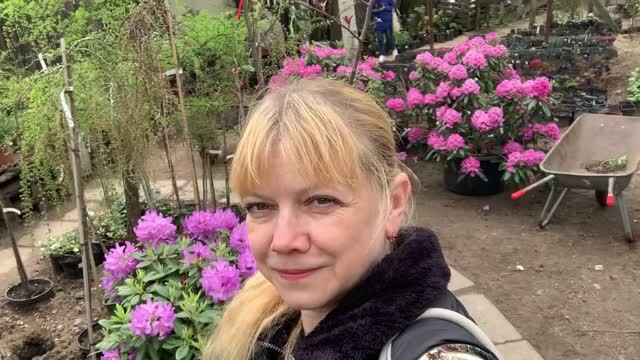 Прогулка в Питомник растений | Выбираю Сирень