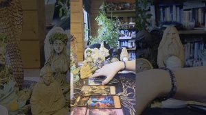 Вы перешли в многомерность