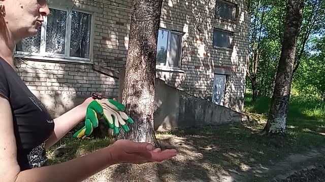 11-06-2026 Благодарим Администрация Депутата Вирков Е. О Киршин Е. В Бугров Ю. В д. Жилетово смотреть онлайн