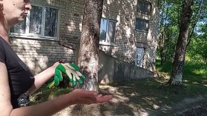 11-06-2026 Благодарим Администрация Депутата Вирков  Е. О  Киршин Е. В Бугров Ю. В  д. Жилетово