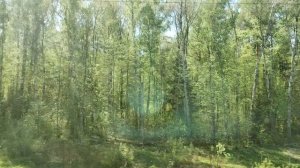 1. из окна поезад (4)