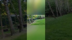 Лесопарк Берёзки. Подольск