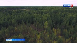 В Кировской области завершилась охота на медведя