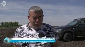 НОВОСТИ УТРА – 11 июня 2026