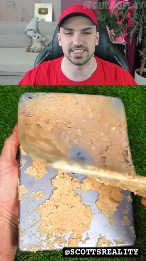 Кастомный чехол на iPad из КРЕКЕРОВ🍪? #shorts