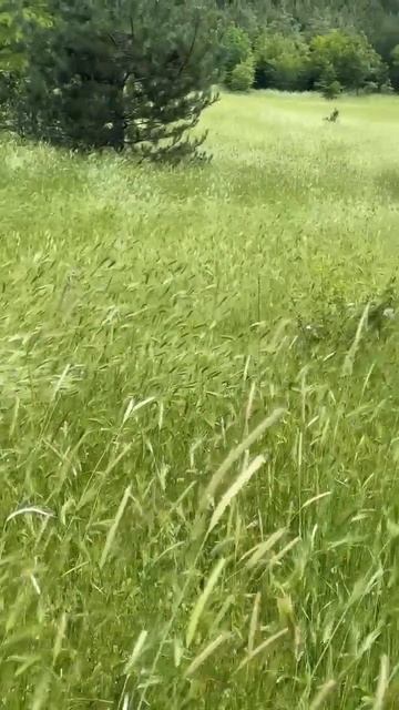 ЭПО 