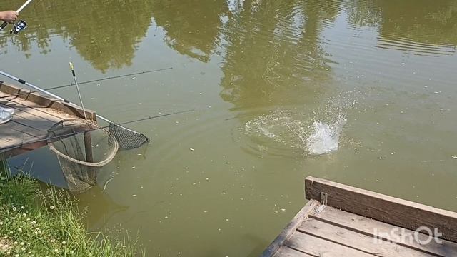 Ловится карпик🐠🐠🐠