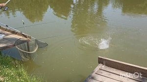 Ловится карпик🐠🐠🐠