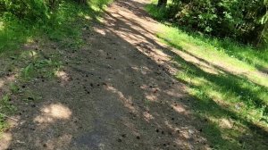 Крапива жжётся. А вам слабо