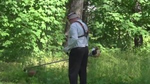 В Брянской области начали подготовку ко «Дню поля»