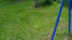 VLOG:целый  день с реборнами👶