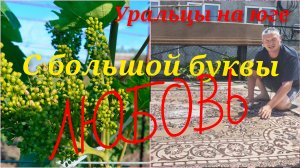 Звезды сошлись.Зашибись!Большая стирка.
