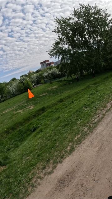 Парк-должник, но небольшой должник, ему поставили лёгкую пирамиду #велопоездка #велосипед #Тюмень