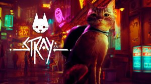 Сегодня залетаем в Stray