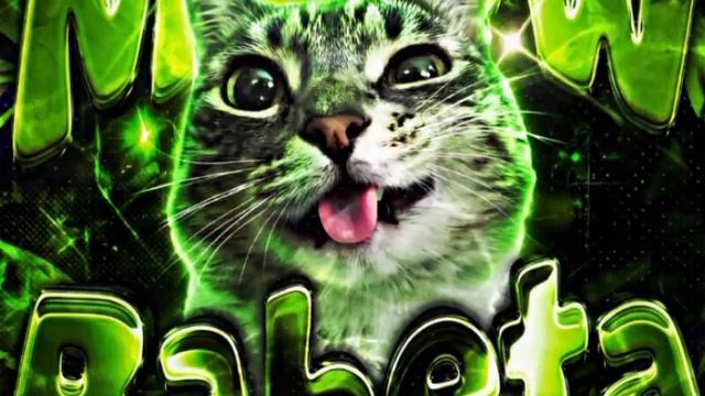 MEOW RABETA