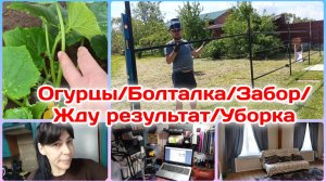 Мои огурчики/Забору быть/Переживаю.Жду результат/Уборка  Часть 1