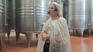 Геленджик Винодельня Шато де Талю экскурссия