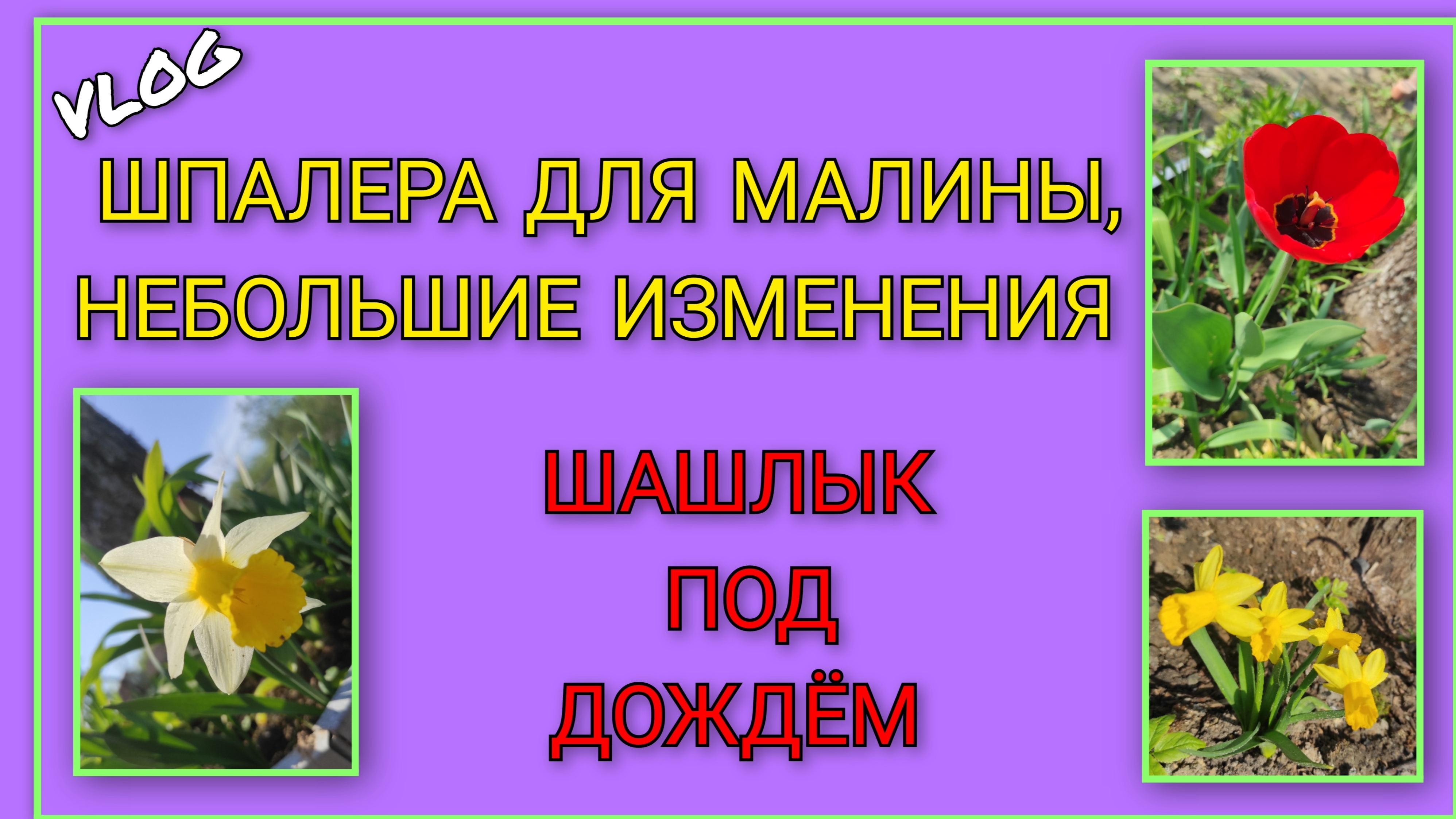 🍒 Почти доделали шпалеру для малины, внесли небольшие изменения/ Жарим шашлык под дождём