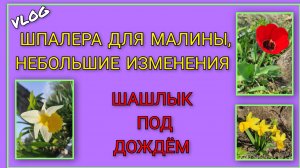 🍒 Почти доделали шпалеру для малины, внесли небольшие изменения/ Жарим шашлык под дождём