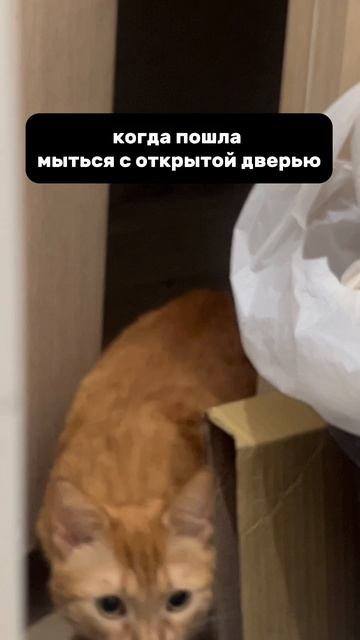 Елена выйди