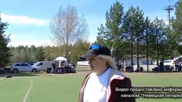 БЕБИ СУКИ / КЧК СУРГУТ 31 мая`26 Е.Никитина Моно немецких овчарок