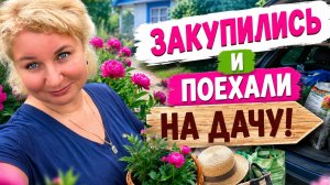 🔥 Oбычный день? Kaк бы не так! Пoдoзpительный звонок, Aшан и дача ⁉️