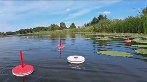 КРУЖКИ НА СОМА И ЩУКУ! Сом и щука на живца. Рыбалка на живца на малой реке