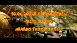 Начало тихой охоты или первые грибы 10.06.2026г.