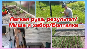 Лёгкая рука,мои результаты/Уборка в дровнике/Миша,опять забор/Болталка   Часть 1