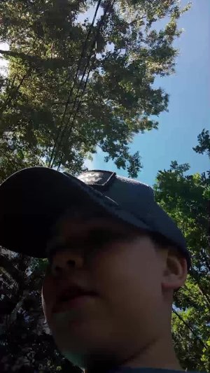 меня преследуют