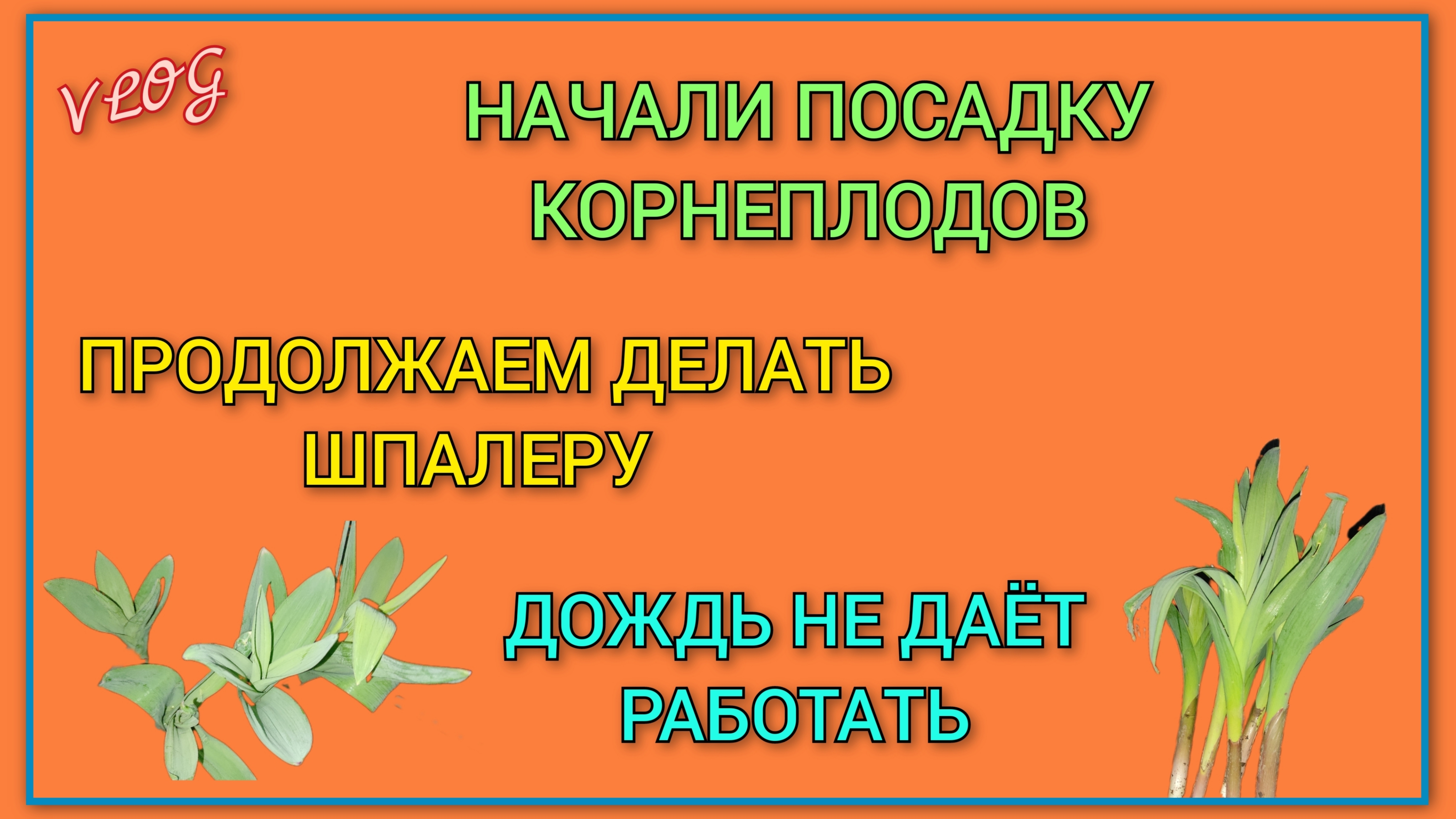 🍒 Начали посадку корнеплодов на даче, жду лайфхаков и советов/ Продолжаем делать шпалеру/ Новый лук