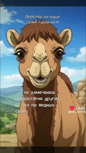 верблюд смотреть онлайн