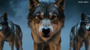 I Hear the Wolves Again _ Iron WEST