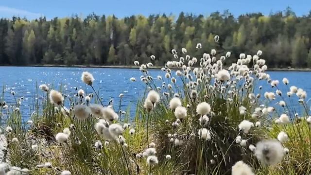 Стихотворение СОЛДАТ. Читает Варвара Панькова смотреть онлайн