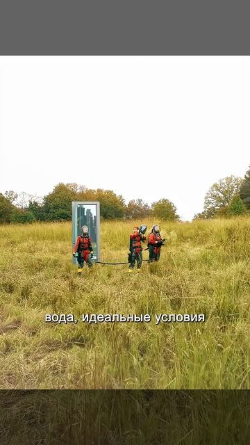 Краткий пересказ фильма смотреть онлайн