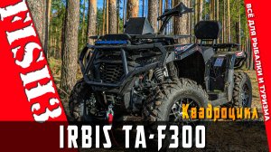Квадроцикл IRBIS TA-F300 EFI 2026 | Ваш универсальный помощник для работы и отдыха
