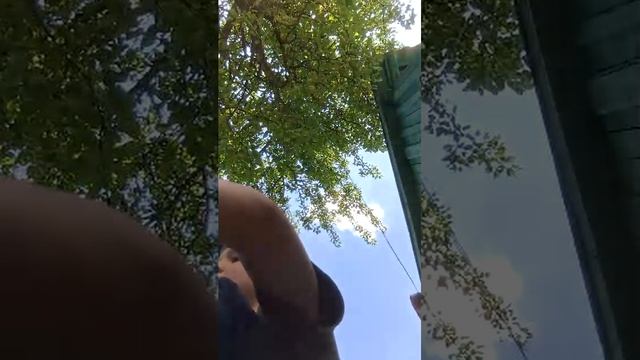 общаюсь подпещись смотреть онлайн