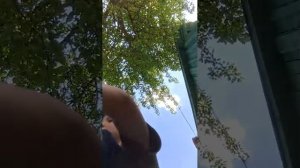 общаюсь подпещись