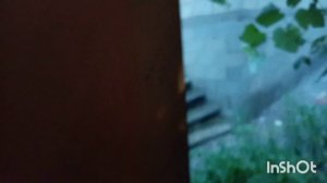 11-06-2026У природы нет плохой погоды?!? 🙈🌧⛈️🌩