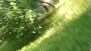 VID_20260610_181858_3.mp4