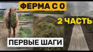 Ферма с нуля часть 2. Заготовка кормов, и посев семян