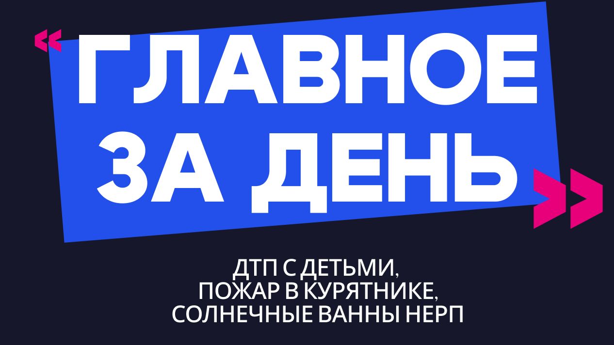 Главное за день: ДТП с детьми, пожар в курятнике и солнечные ванны нерп