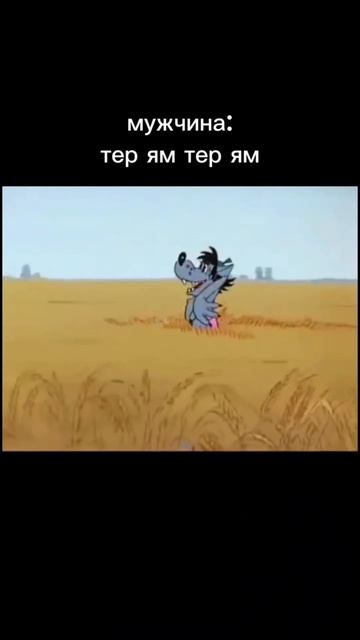 🐳 Все мальчики такие ? #kit_tarasov