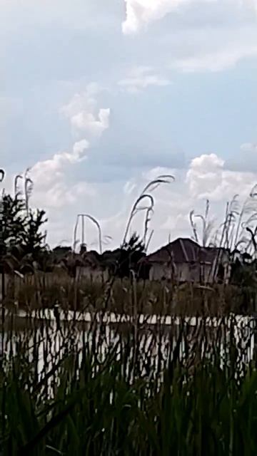 MOV_20260611_144418_526Лето в разгаре смотреть онлайн