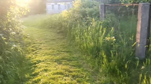 Влёсно ТВ. Косьба 11.06.26.mp4